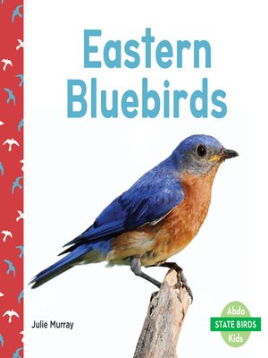 cover image of Eastern Bluebirds